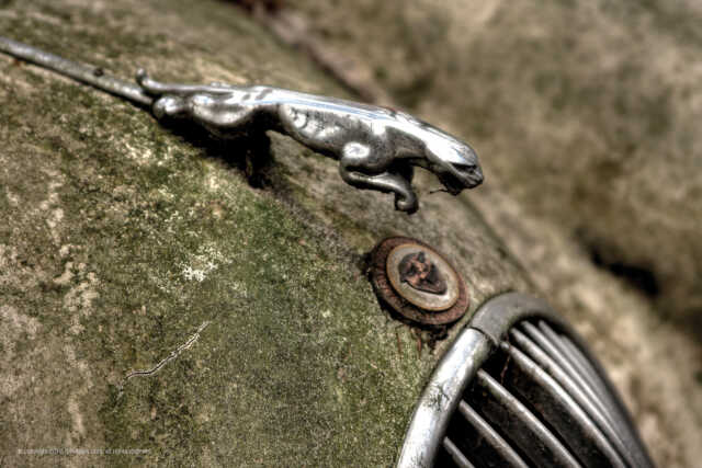 2009 03 22 img 2204 05 06 1920x1280