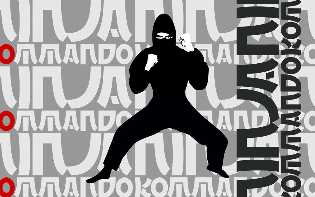 Ninja Kommando Vector Animation