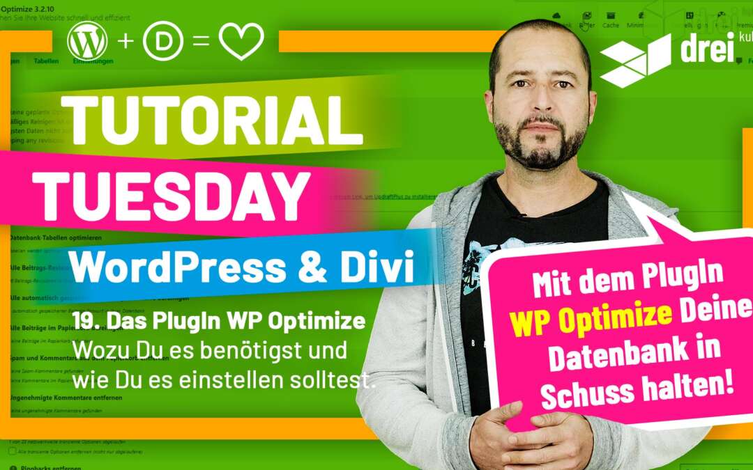 WordPress & Divi Tutorial 2022 Deutsch, 19: Das PlugIn WP Optimize – Wozu Du es benötigst, wie Du es einstellst