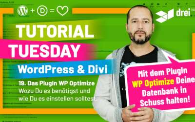 WordPress & Divi Tutorial 2022 Deutsch, 19: Das PlugIn WP Optimize – Wozu Du es benötigst, wie Du es einstellst