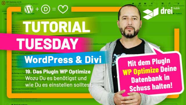 WordPress & Divi Tutorial 2022 Deutsch, 19: Das PlugIn WP Optimize – Wozu Du es benötigst, wie Du es einstellst